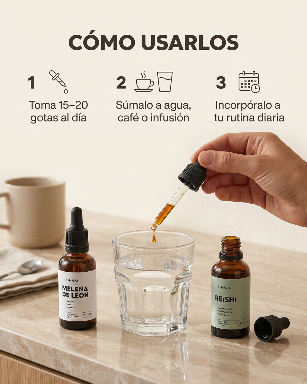 🧠😌 PACK FOCO & CALMA