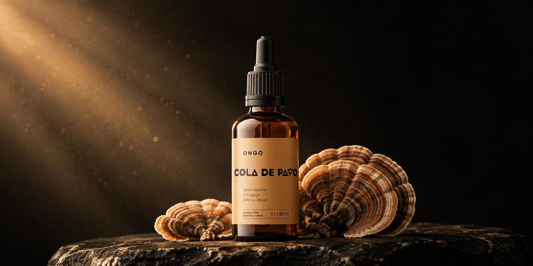 Cola de Pavo: para qué sirve el hongo más estudiado del mundo