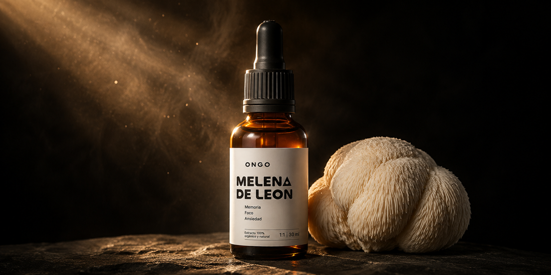 Melena de León: para qué sirve, cómo tomarla y en cuánto tiempo hace efecto