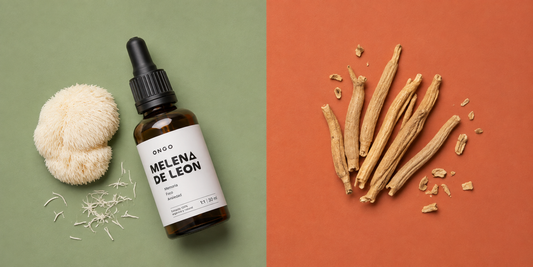Melena de León vs Ashwagandha: cuál elegir según lo que buscas