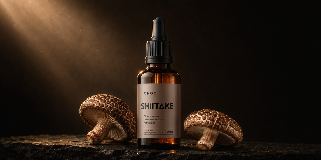Shiitake: para qué sirve y cómo apoya tus defensas