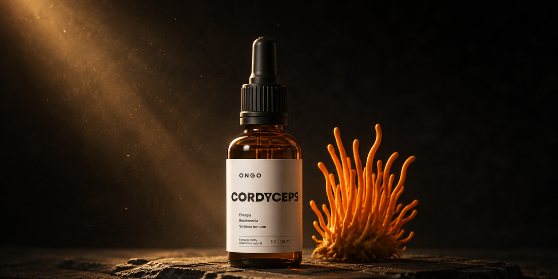 Cordyceps: para qué sirve y por qué es el hongo de la energía