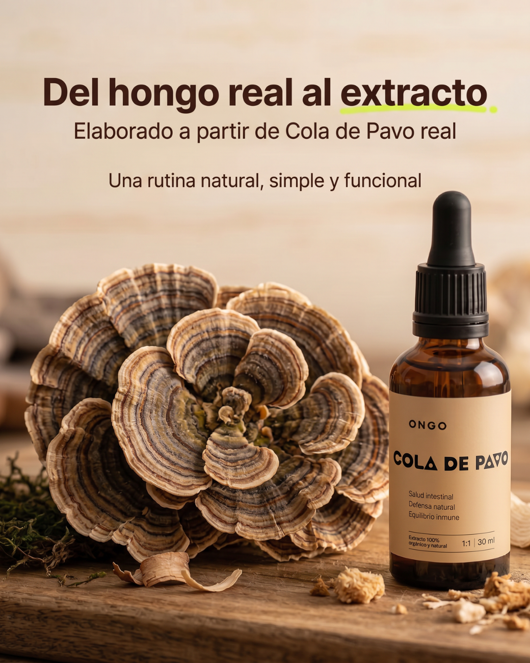 Extracto Cola de Pavo - Defensas y Microbiota
