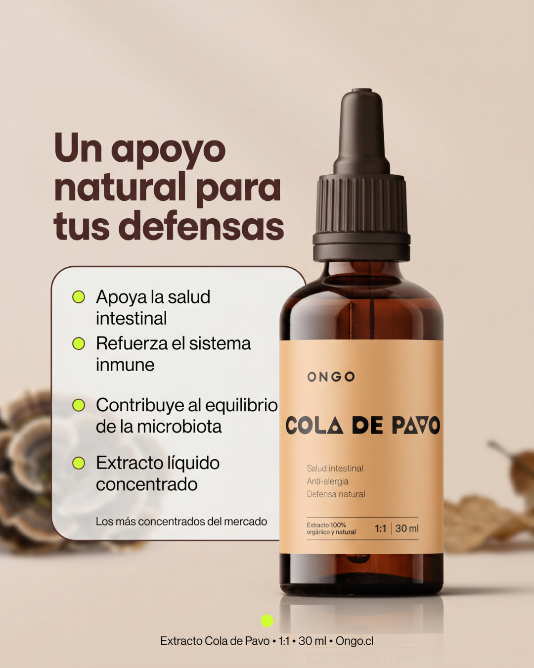 Extracto Cola de Pavo - Defensas y Microbiota