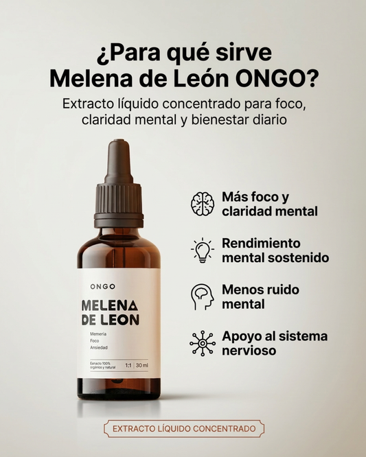 Extracto Melena de Leon - Memoria