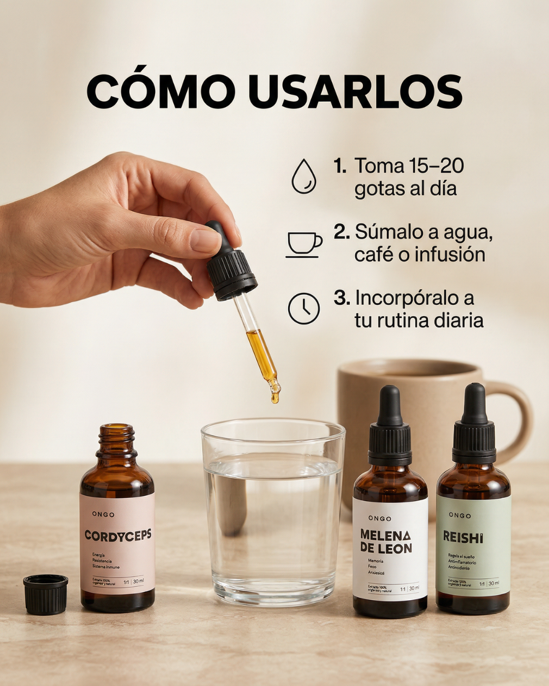 Pack 3 Extractos Funcionales