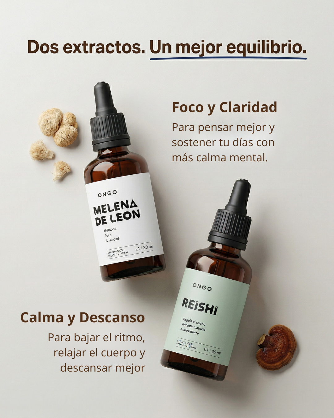 🧠😌 PACK FOCO & CALMA