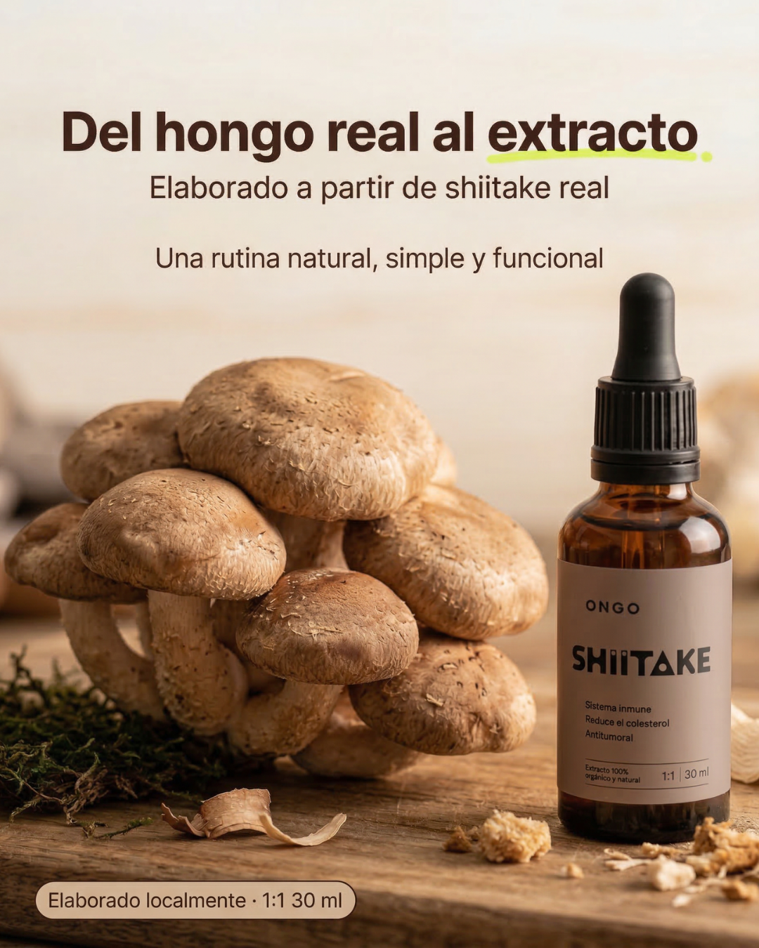 Extracto Shiitake - Sistema Inmune e Inflamación