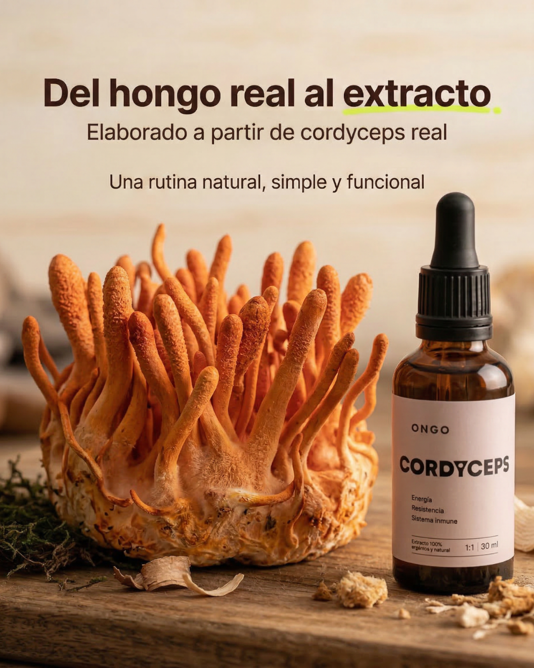 Extracto Cordyceps - Energía