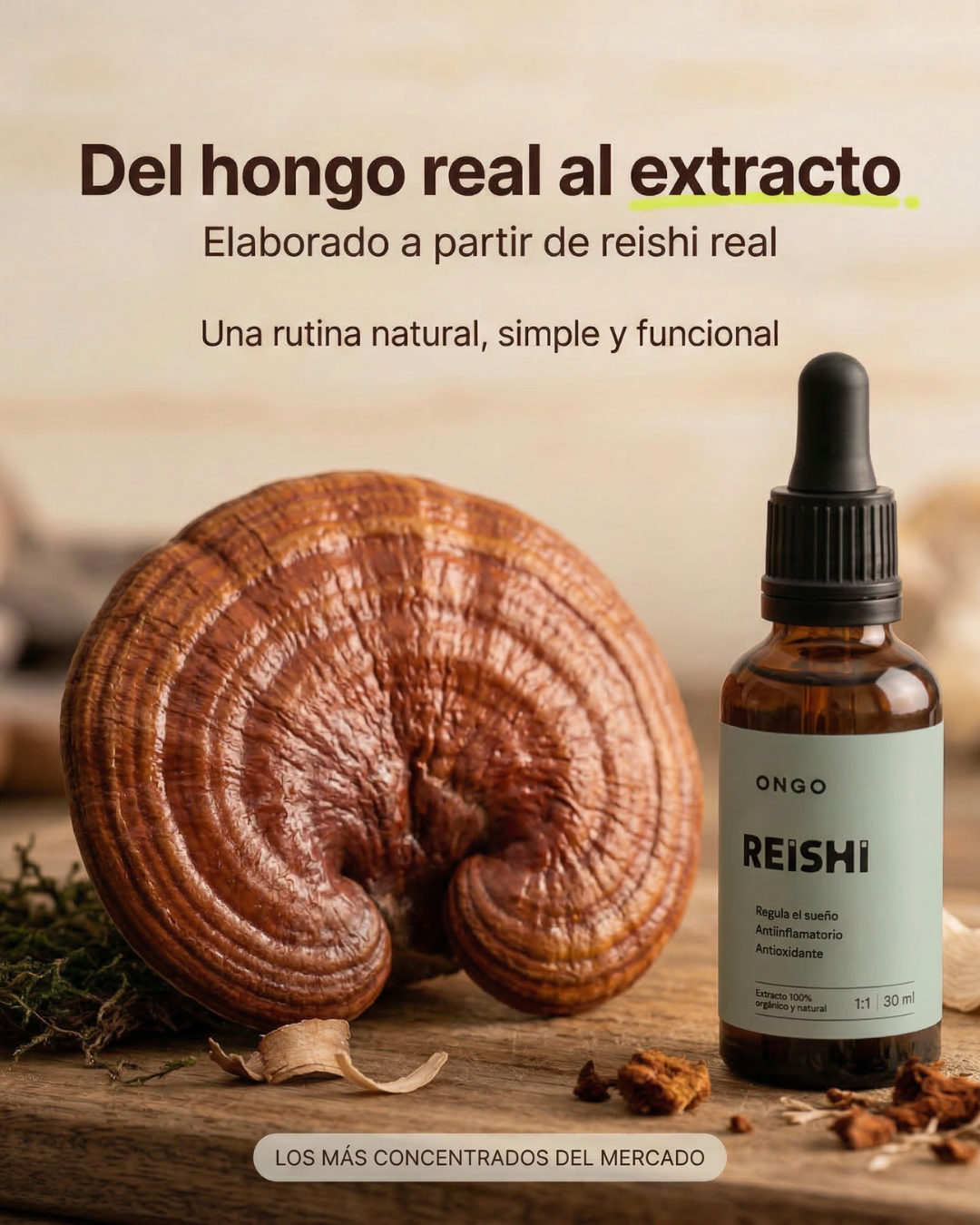 Extracto Reishi - Sueño