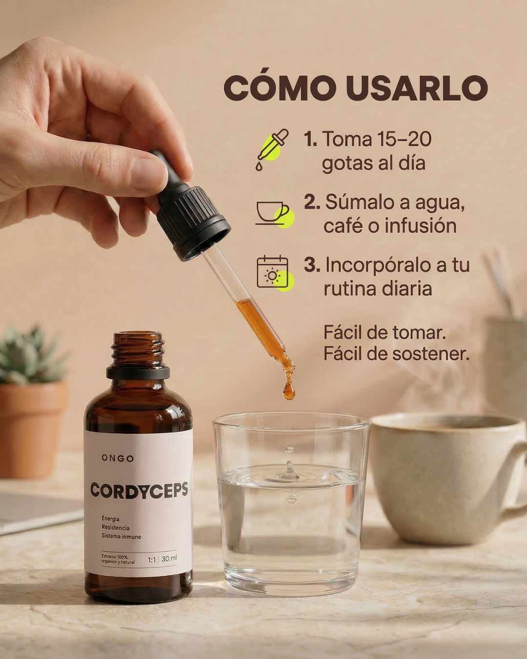 Extracto Cordyceps - Energía