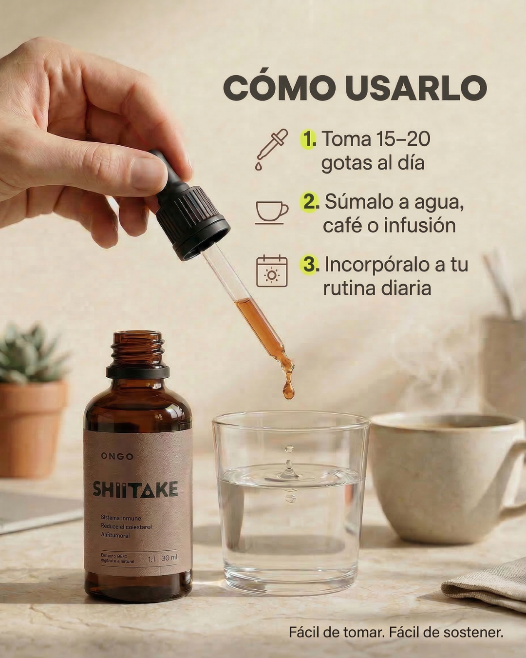 Extracto Shiitake - Sistema Inmune e Inflamación