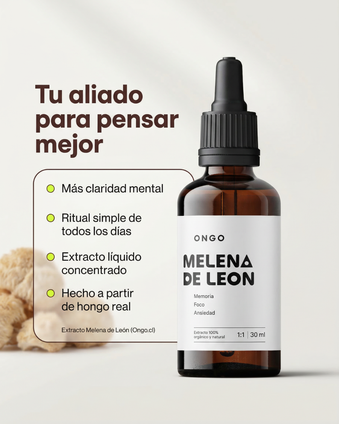 Extracto Melena de Leon - Memoria