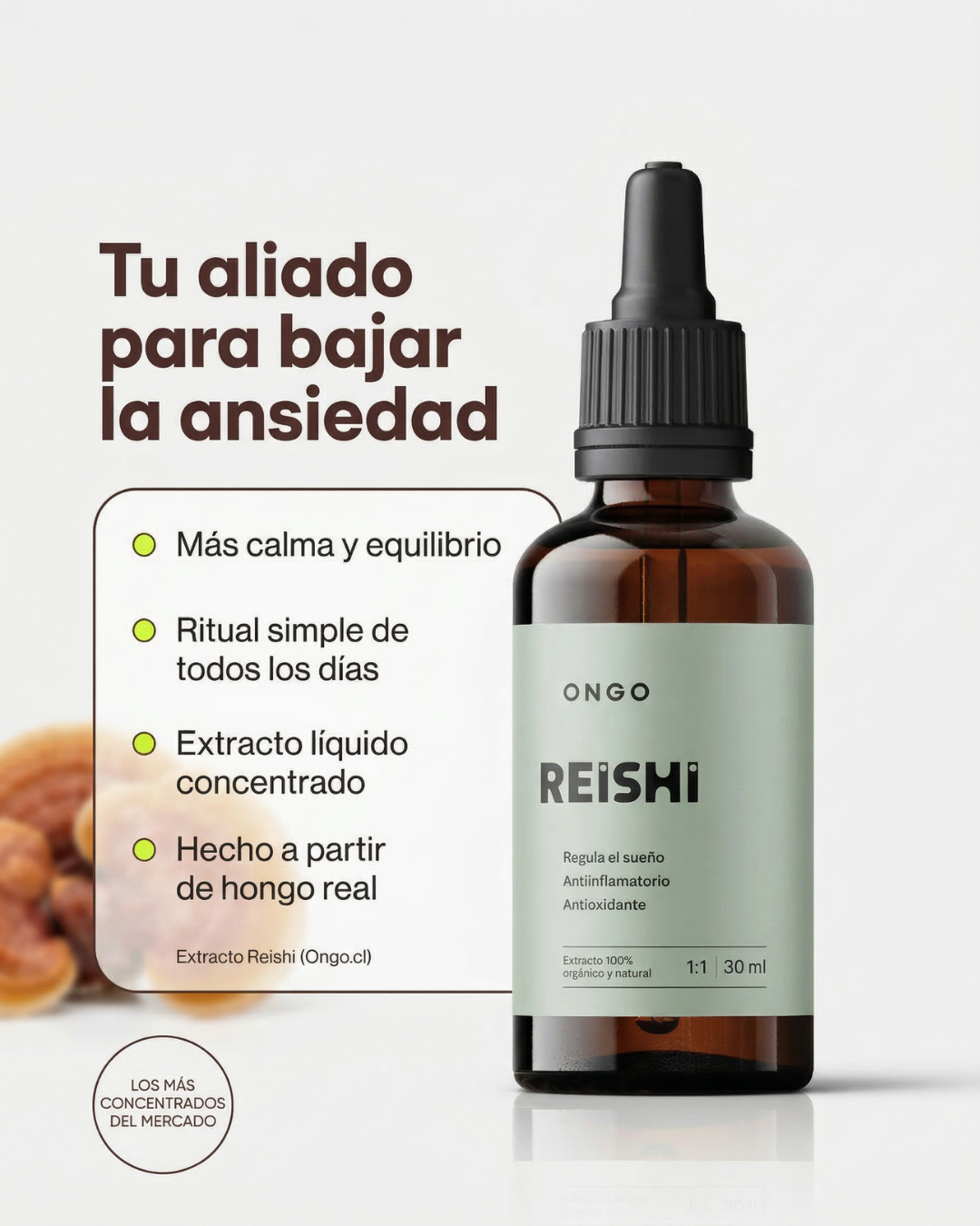 Extracto Reishi - Sueño
