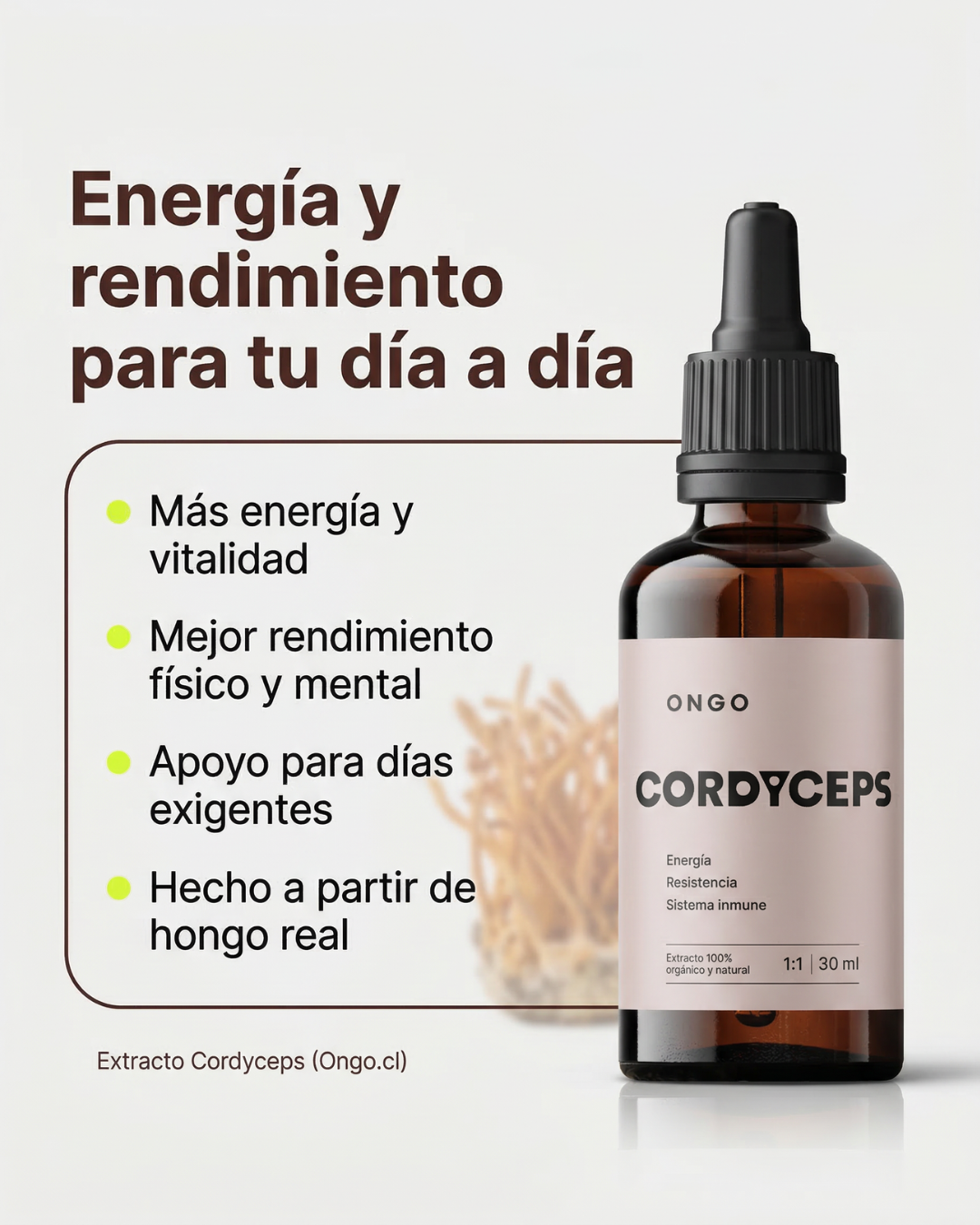 Extracto Cordyceps - Energía