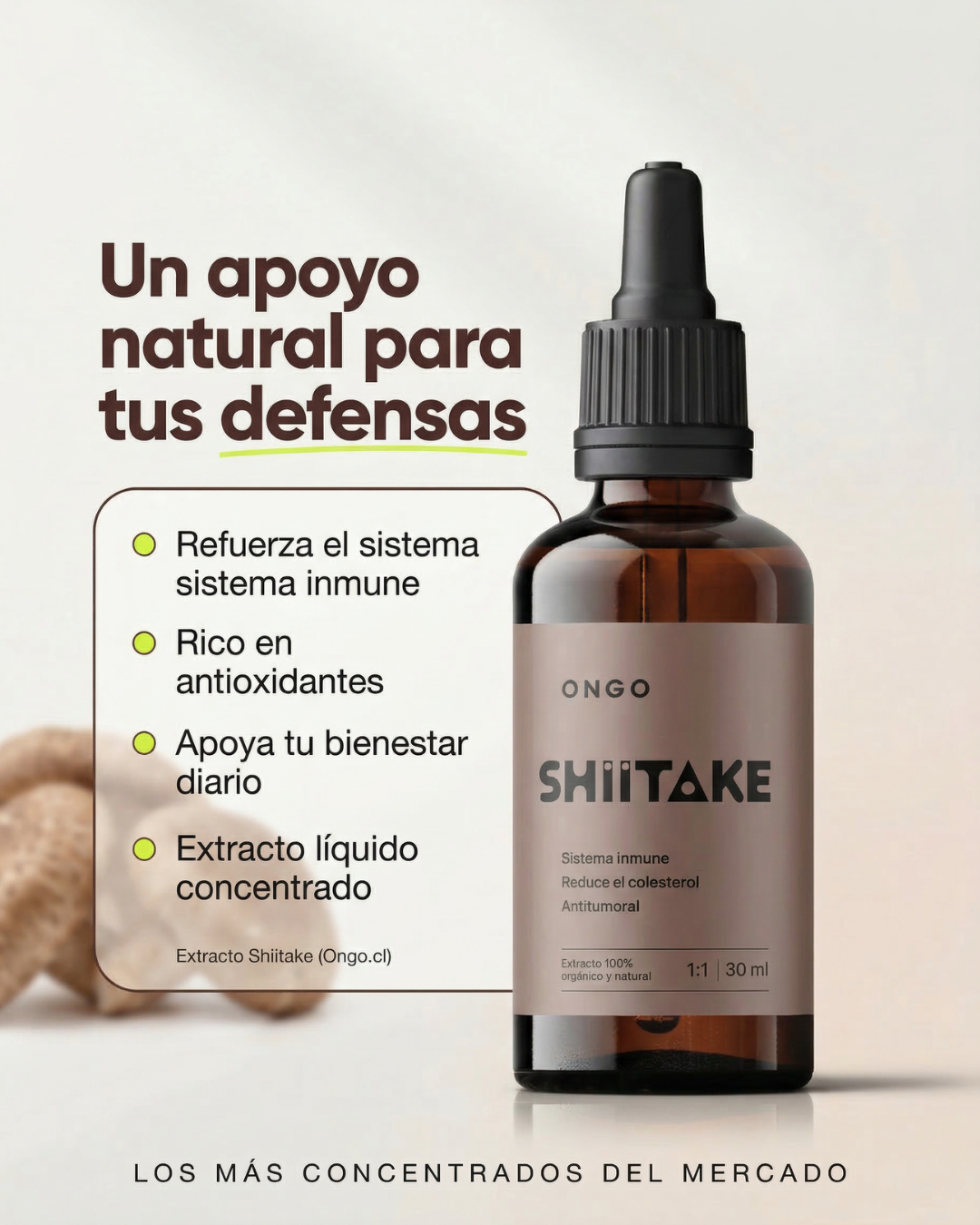 Extracto Shiitake - Sistema Inmune e Inflamación