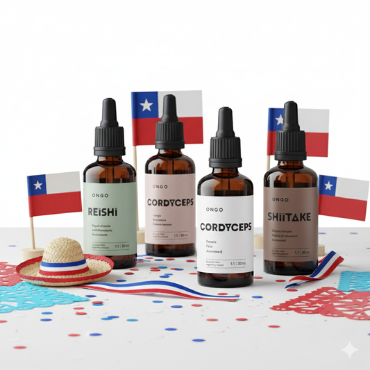 Pack Fonda sin Caña 🍄- 25% de descuento