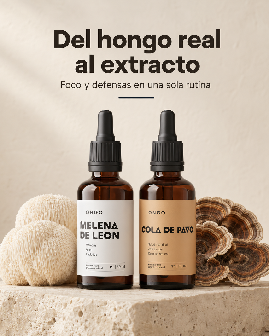 🧠🛡️ Pack Foco y Defensas
